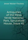 Antiquities of the Mesa Verde National Park, Sprucetree House, Issue 41 - Fewkes Jesse Walter