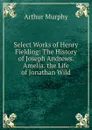 Select Works of Henry Fielding: The History of Joseph Andrews. Amelia. the Life of Jonathan Wild - Murphy Arthur