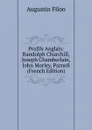 Profils Anglais: Randolph Churchill, Joseph Chamberlain, John Morley, Parnell (French Edition) - Augustin Filon