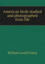 American birds studied and photographed from life - William Lovell Finley