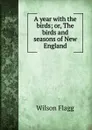 A year with the birds; or, The birds and seasons of New England - Wilson Flagg