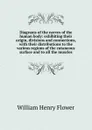 Diagrams of the nerves of the human body: exhibiting their origin, divisions and connections, with their distributions to the various regions of the cutaneous surface and to all the muscles - William Henry Flower