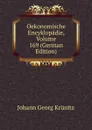 Oekonomische Encyklopadie, Volume 169 (German Edition) - Johann Georg Krünitz