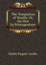 The Temptation of Wealth: Or, the Heir by Primogeniture - E. Flygare-Carlén