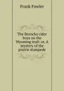 The Broncho rider boys on the Wyoming trail: or, A mystery of the prairie stampede - Frank Fowler