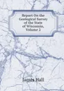 Report On the Geological Survey of the State of Wisconsin, Volume 2 - Hall James
