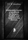 Holmesdale towns: a handbook for Reigate, Redhill, and neighbouring districts - T F. W. Hamilton