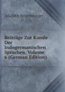 Beitrage Zur Kunde Der Indogermanischen Sprachen, Volume 6 (German Edition) - Adalbert Bezzenberger