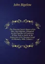 The Panama Canal: Report of the Hon. John Bigelow, Delegated by the Chamber of Commerce of New York to Assist at the Inspection of the Panama Canal in February, 1886, Volume 1 - John Bigelow