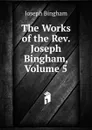 The Works of the Rev. Joseph Bingham, Volume 5 - Joseph Bingham