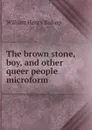 The brown stone, boy, and other queer people microform - William Henry Bishop