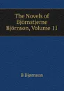 The Novels of Bjornstjerne Bjornson, Volume 11 - Bjornstjerne Bjornson