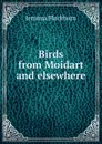 Birds from Moidart and elsewhere - Jemima Blackburn