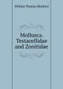 Mollusca. Testacellidae and Zonitidae - William Thomas Blanford