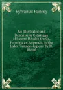 An Illustrated and Descriptive Catalogue of Recent Bivalve Shells, Forming an Appendix to the Index Testaceologicus By W. Wood. - Sylvanus Hanley