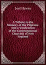 A Tribute to the Memory of the Pilgrims: And a Vindication of the Congregational Churches of New England - Joel Hawes