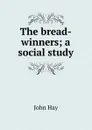 The bread-winners; a social study - Hay John