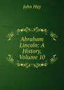 Abraham Lincoln: A History, Volume 10 - Hay John