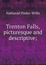 Trenton Falls, picturesque and descriptive; - Willis Nathaniel Parker