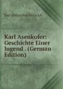 Karl Asenkofer: Geschichte Einer Jugend . (German Edition) - Karl Borromäus Heinrich