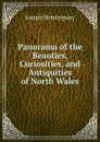 Panorama of the Beauties, Curiosities, and Antiquities of North Wales - Joseph Hemingway