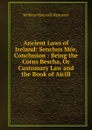 Ancient Laws of Ireland: Senchus Mor, Conclusion : Being the Corus Bescha, Or Customary Law and the Book of Aicill - William Maunsell Hennessy