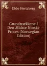 Grundtraekkene I Den AEldste Norske Proces (Norwegian Edition) - Ebbe Hertzberg