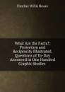 What Are the Facts.: Protection and Reciprocity Illustrated. Questions of To-Day Answered in One Hundred Graphic Studies . - Fletcher Willis Hewes