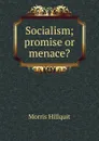 Socialism; promise or menace. - Morris Hillquit