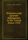 Prisoners and juvenile delinquents in the United States 1910 - Joseph A. 1860-1938 Hill