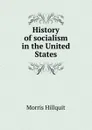 History of socialism in the United States - Morris Hillquit