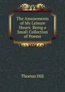 The Amusements of My Leisure Hours: Being a Small Collection of Poems - Hill Thomas