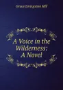 A Voice in the Wilderness: A Novel - Hill Grace Livingston