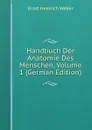 Handbuch Der Anatomie Des Menschen, Volume 1 (German Edition) - Ernst Heinrich Weber