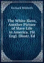The White Slave, Another Picture of Slave Life in America. 1St Engl. Illustr. Ed - Hildreth Richard