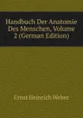 Handbuch Der Anatomie Des Menschen, Volume 2 (German Edition) - Ernst Heinrich Weber