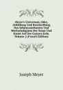 Meyer.s Universum, Oder, Abbildung Und Beschreibung Des Sehenswerthesten Und Merkwurdigsten Der Natur Und Kunst Auf Der Ganzen Erde, Volume 2 (French Edition) - Joseph Meyer