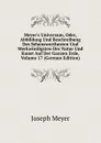 Meyer.s Universum, Oder, Abbildung Und Beschreibung Des Sehenswerthesten Und Merkwurdigsten Der Natur Und Kunst Auf Der Ganzen Erde, Volume 17 (German Edition) - Joseph Meyer