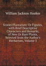 Icones Plantarum: Or Figures, with Brief Descriptive Characters and Remarks, of New Or Rare Plants, Selected from the Author.s Herbarium, Volume 3 - Hooker William Jackson