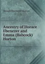 Ancestry of Horace Ebenezer and Emma (Babcock) Horton - Horace Ebenezer Horton