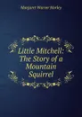 Little Mitchell: The Story of a Mountain Squirrel - Morley Margaret Warner