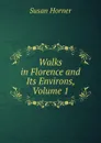 Walks in Florence and Its Environs, Volume 1 - Susan Horner