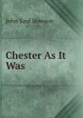 Chester As It Was - John Saul Howson