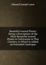 Beautiful Leaved Plants: Being a Description of the Most Beautiful Leaved Plants in Cultivation in This Country, to Which Is Added an Extended Catalogue - Edward Joseph Lowe