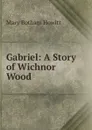 Gabriel: A Story of Wichnor Wood - Howitt Mary Botham