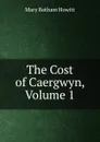 The Cost of Caergwyn, Volume 1 - Howitt Mary Botham