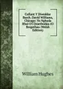 Cofiant Y Diweddar Barch. David Williams, Chicago: Yn Nghyda Rhai O.I Draethodau A.I Bregethau (Welsh Edition) - Hughes William
