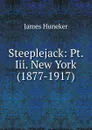 Steeplejack: Pt. Iii. New York (1877-1917) - Huneker James