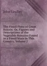 The Fossil Flora of Great Britain: Or, Figures and Descriptions of the Vegetable Remains Found in a Fossil State in This Country, Volume 2 - John Lindley