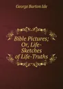 Bible Pictures; Or, Life-Sketches of Life-Truths - George Barton Ide